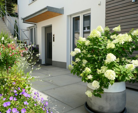 11 P1000138 zugeschnitten