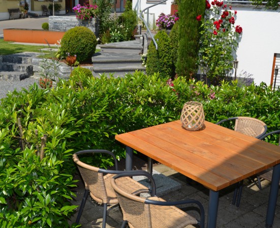 5 Birne Terrasse DSC_0675