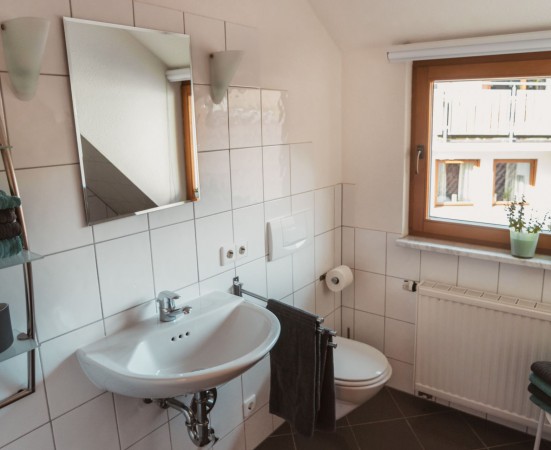 9 Apfel-124 zugeschnitten